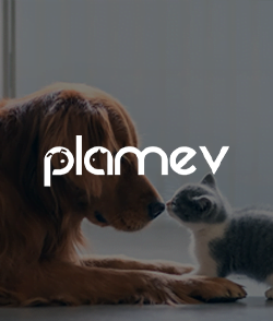 Case destaque no E-commerce: Plamev